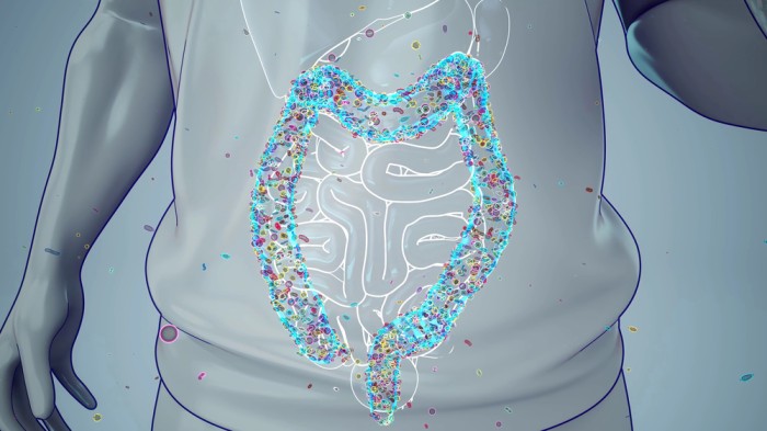 Digital illustration of a human torso with intestines highlighted and filled with colorful particles, representing the diverse gut microbiome ecosystem.