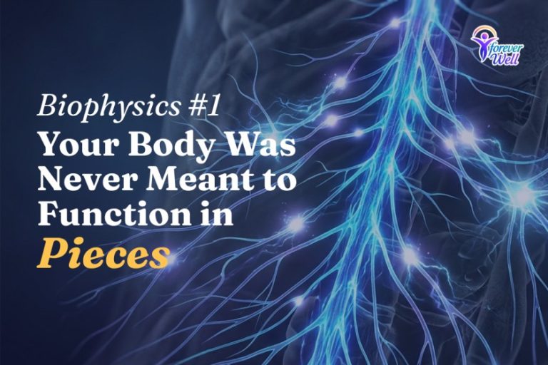 Glowing human nervous system illustration with biophysics wellness text on a dark blue background