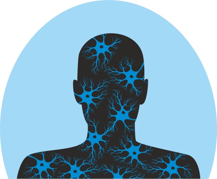 Human silhouette filled with neuron-like patterns illustrating neural networks and brain-body connectivity