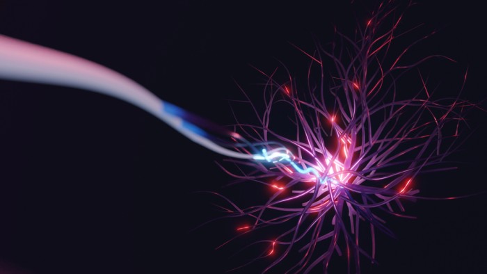 Illustration of electrical signals traveling through nerve cells — representing the body's bioelectrical communication system